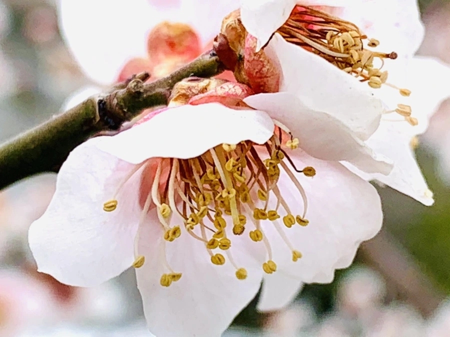 IMG_3651.jpg?type=w966