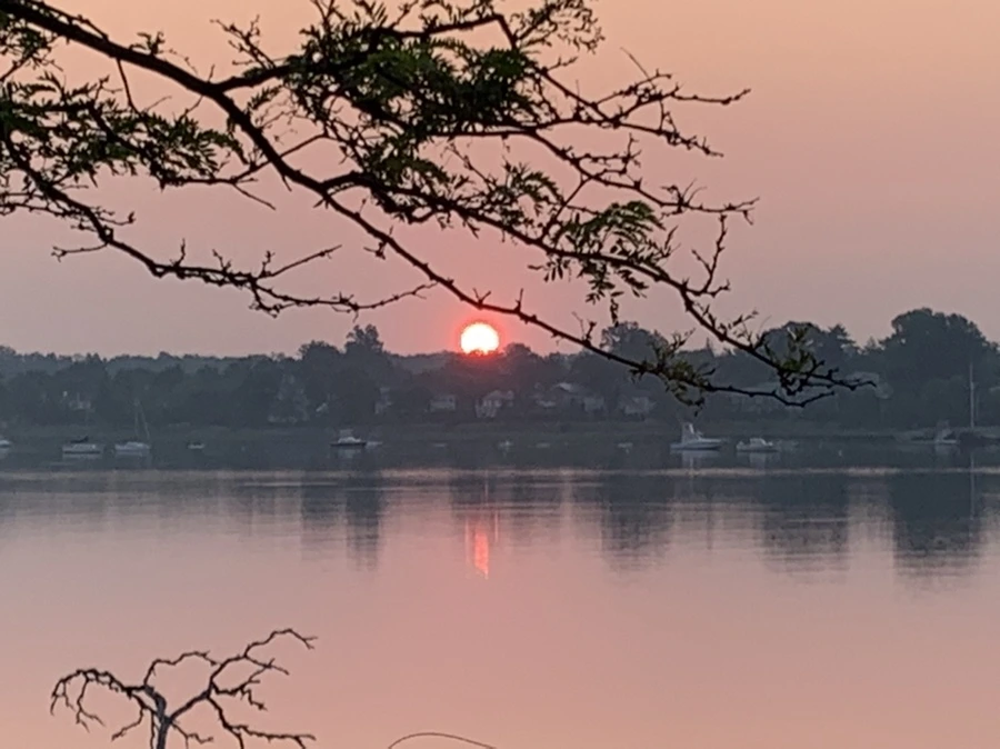 IMG_1922.jpg?type=w966