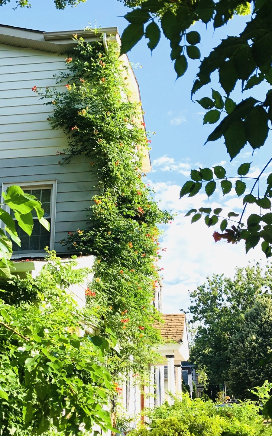 IMG_2129.jpg?type=w966