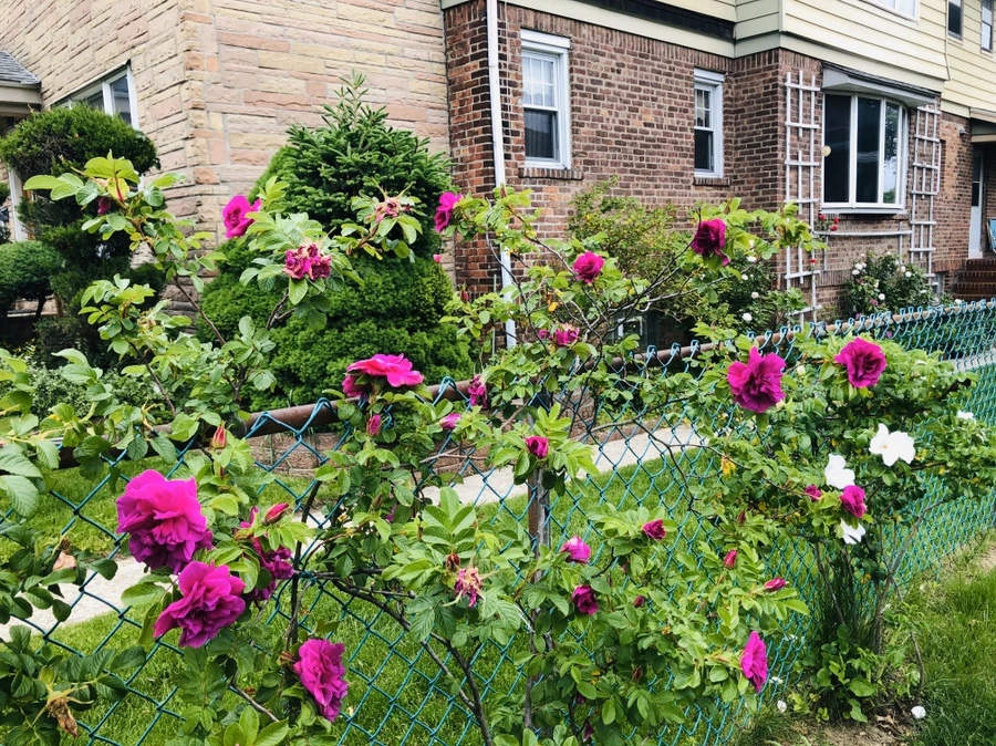 IMG_7361.jpg?type=w966