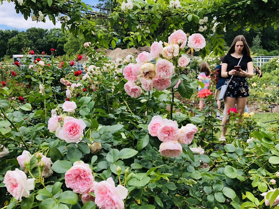 IMG_5883.jpg?type=w966