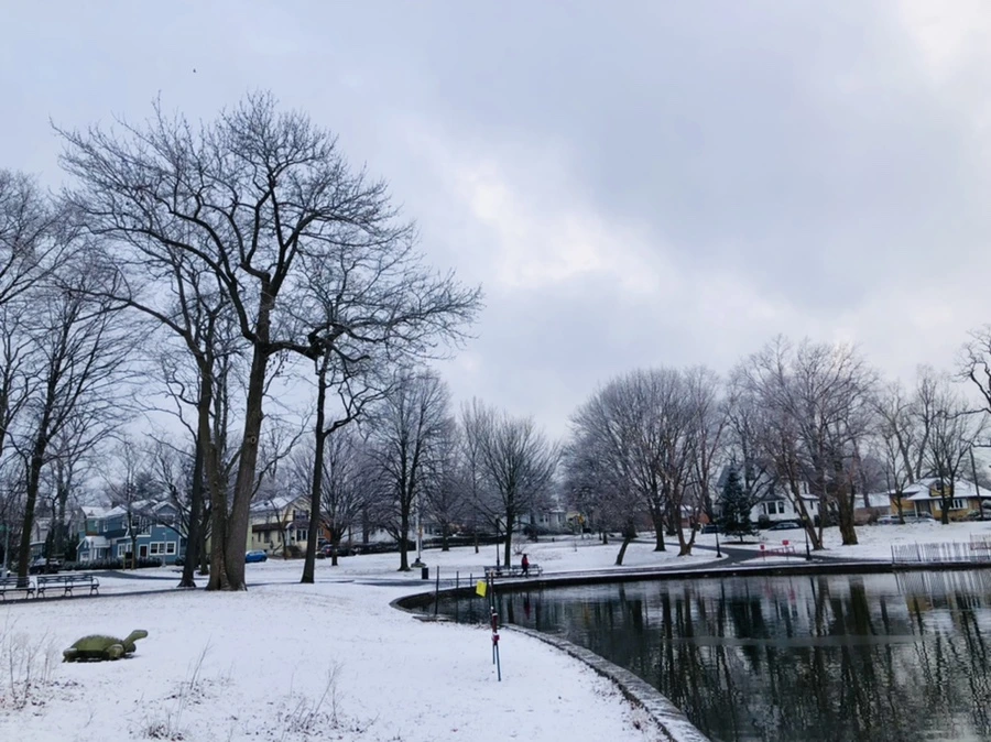 IMG_4501.jpg?type=w966