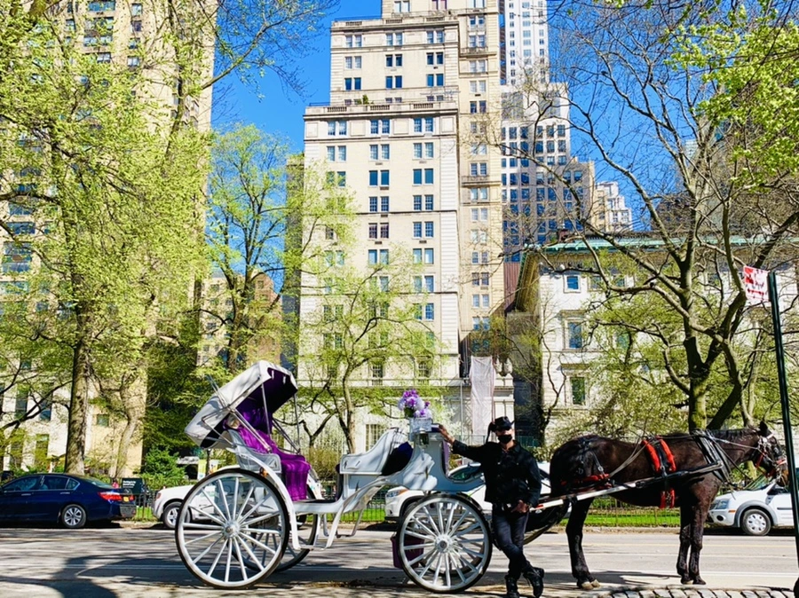 IMG_1989.jpg?type=w966