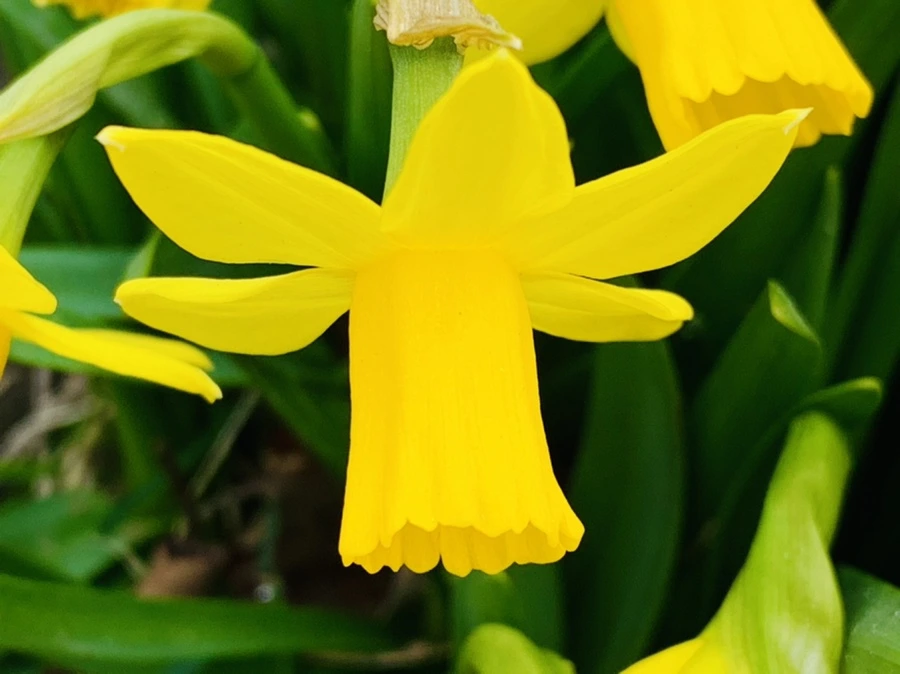 IMG_3218.jpg?type=w966