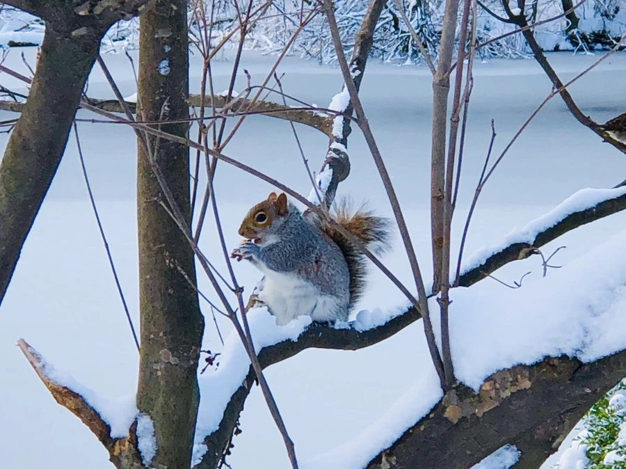 IMG_7023.jpg?type=w966