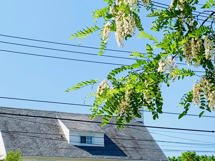 IMG_4721.jpg?type=w966