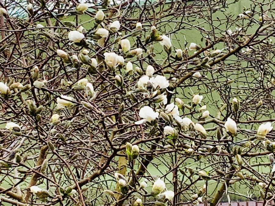 IMG_5324.jpg?type=w966