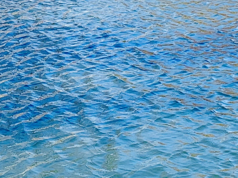 IMG_9888.jpg?type=w966