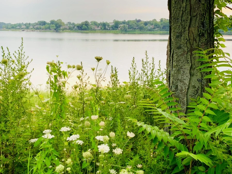 IMG_6450.jpg?type=w966