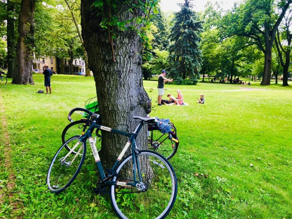 IMG_7198.jpg?type=w966