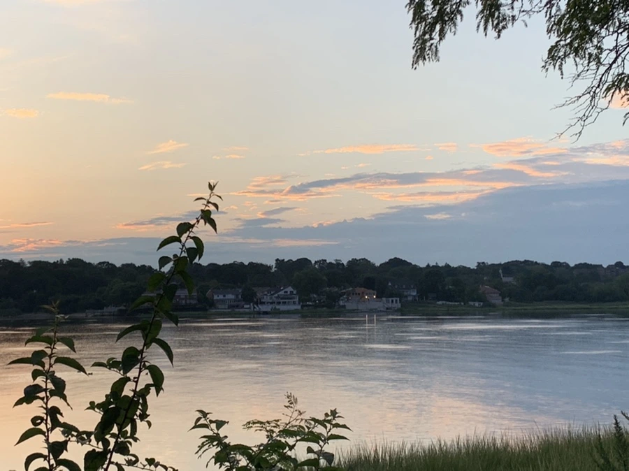 IMG_1206.jpg?type=w966