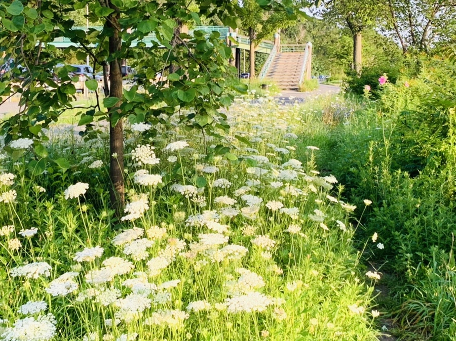 IMG_9839.jpg?type=w966