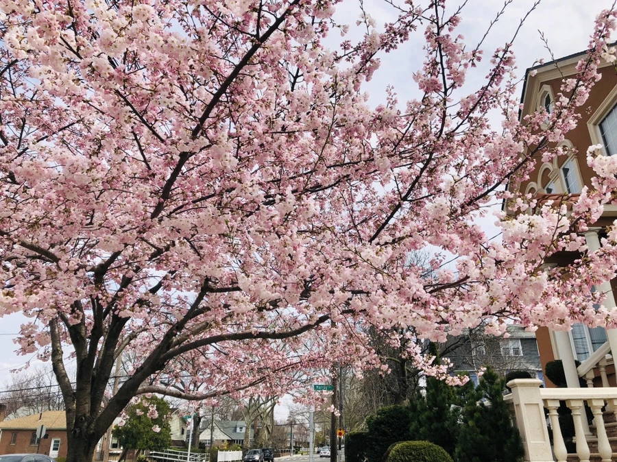 IMG_2815.jpg?type=w966