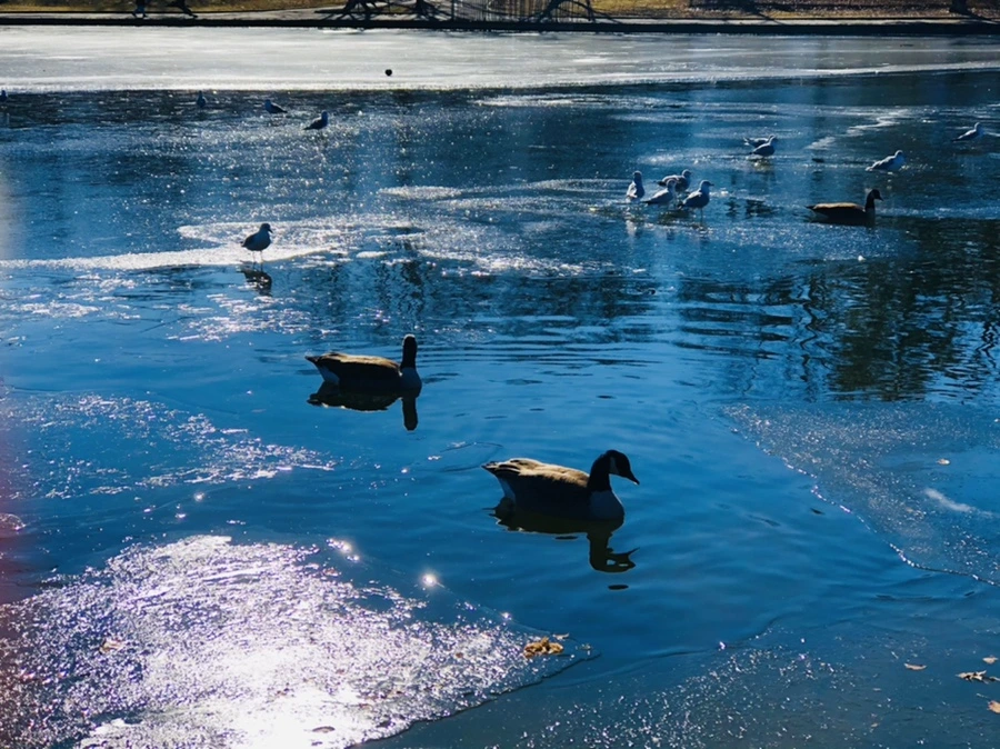 IMG_8116.jpg?type=w966