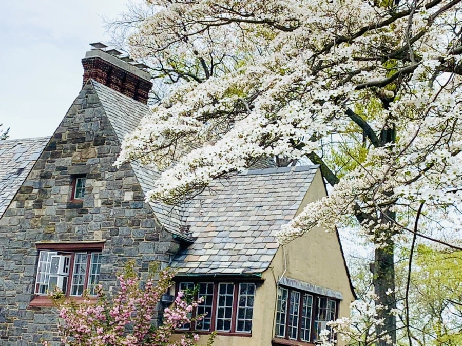 IMG_7447.jpg?type=w966