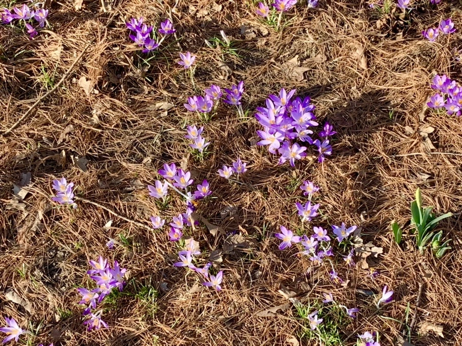 IMG_0410.jpg?type=w966