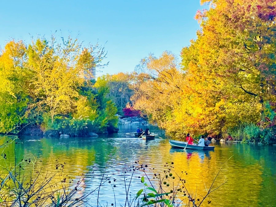 IMG_1431.jpg?type=w966