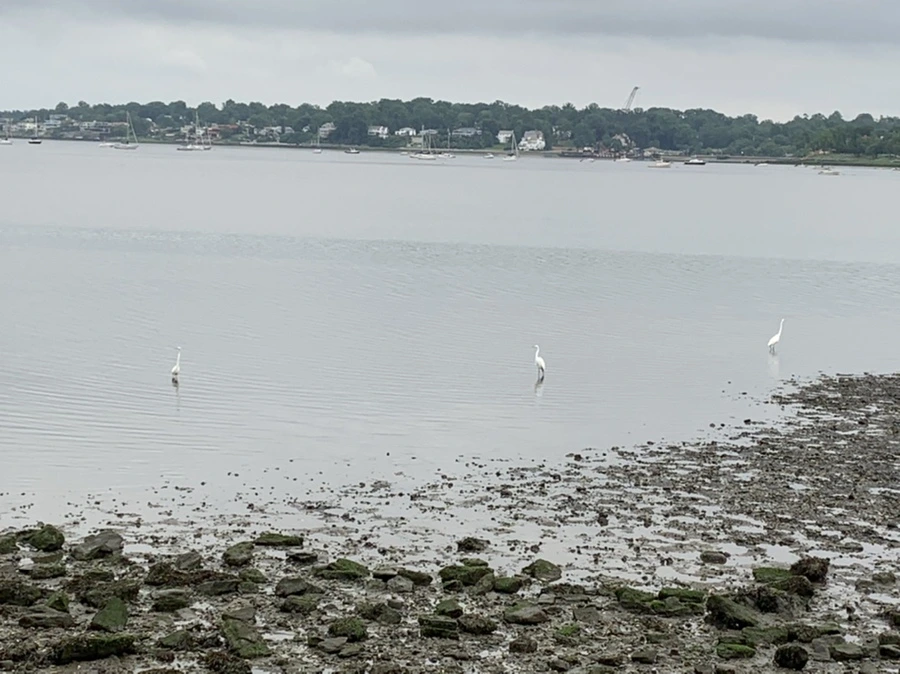 IMG_3672.jpg?type=w966