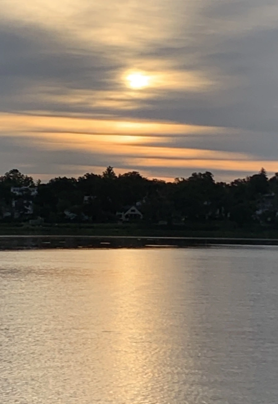 IMG_5967.jpg?type=w966