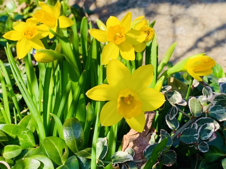 IMG_3184.jpg?type=w966