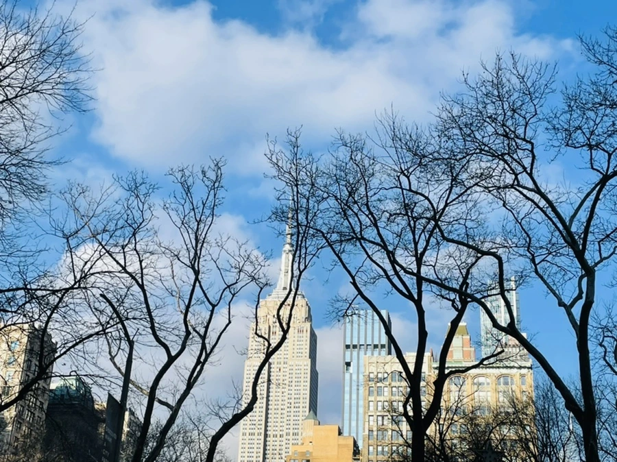 IMG_1676.jpg?type=w966