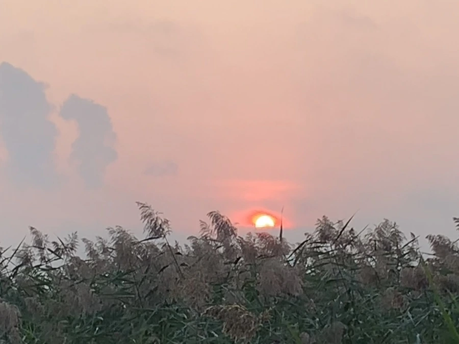 IMG_1084.jpg?type=w966