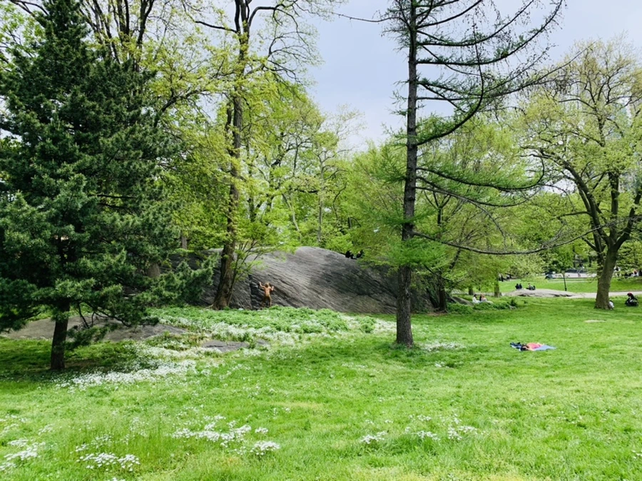 IMG_8761.jpg?type=w966