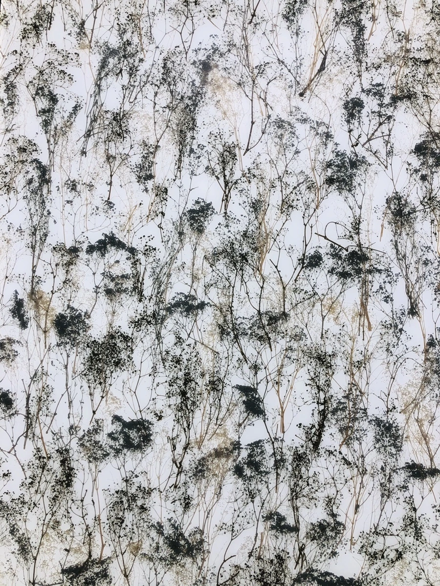 IMG_5219.jpg?type=w966