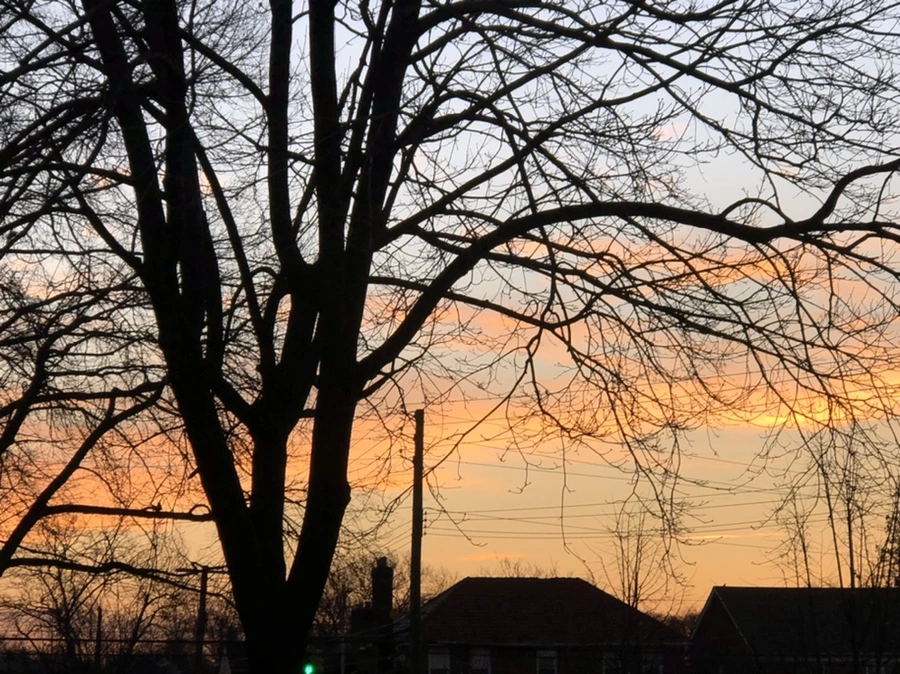 IMG_4622.jpg?type=w966