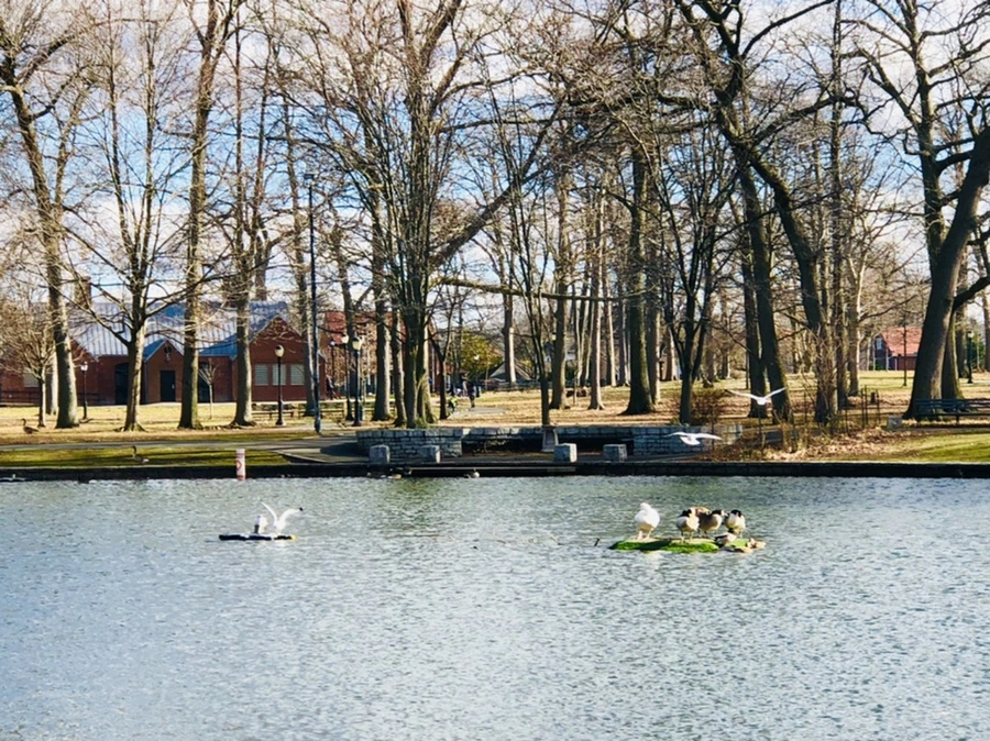 IMG_9227.jpg?type=w966