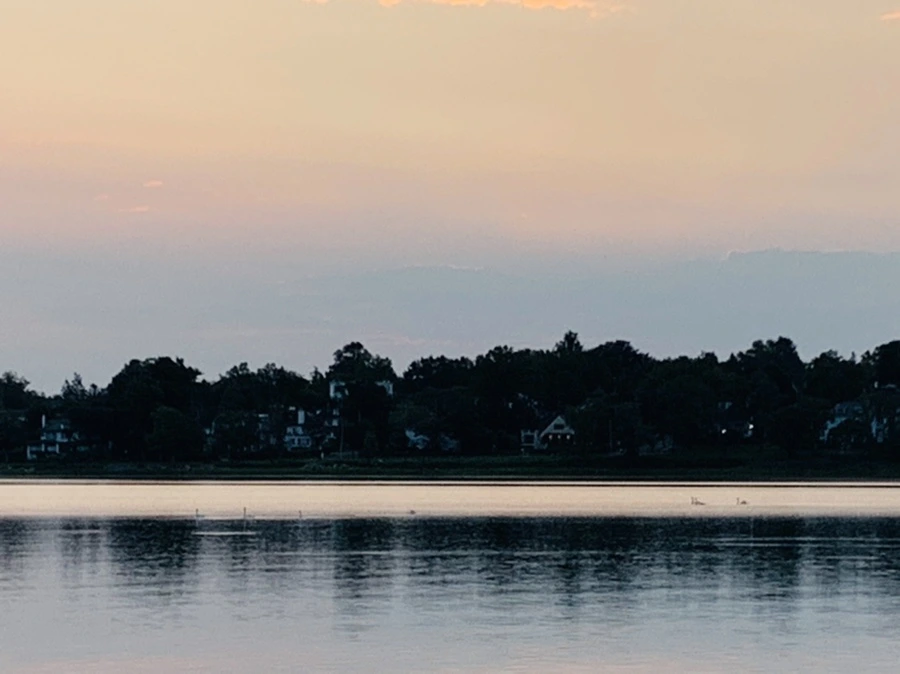 IMG_4590.jpg?type=w966