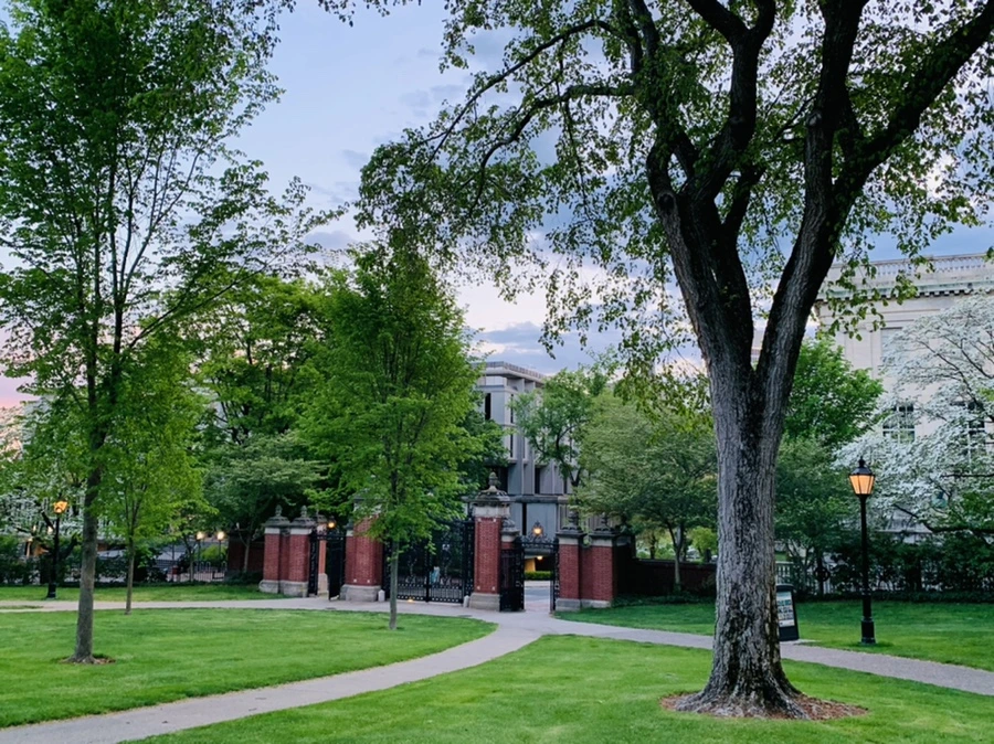 IMG_2564.jpg?type=w966