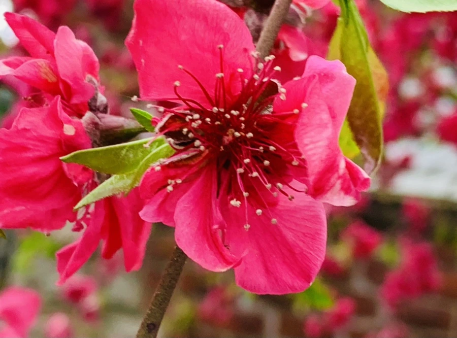 IMG_7978.jpg?type=w966