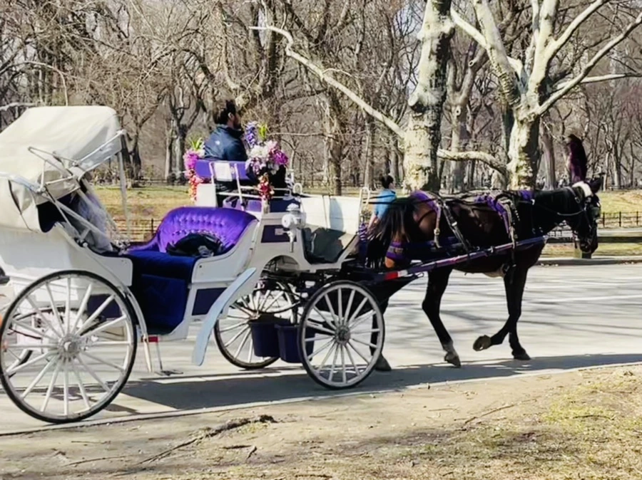 IMG_5514.jpg?type=w966