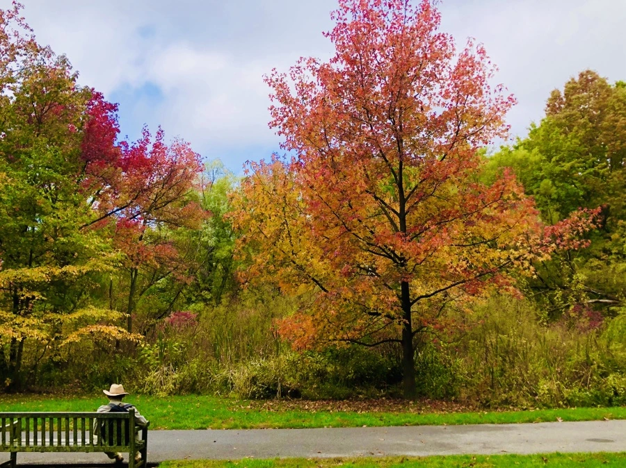 IMG_2288.jpg?type=w966