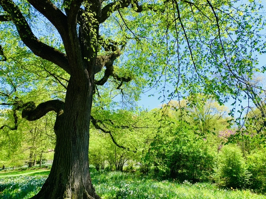 IMG_5697.jpg?type=w966