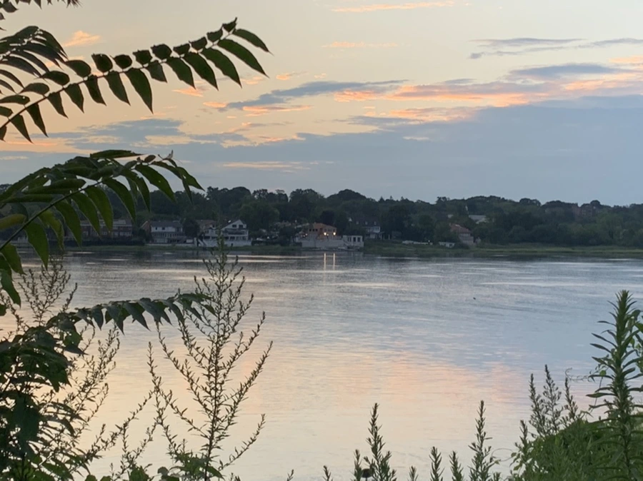 IMG_1187.jpg?type=w966