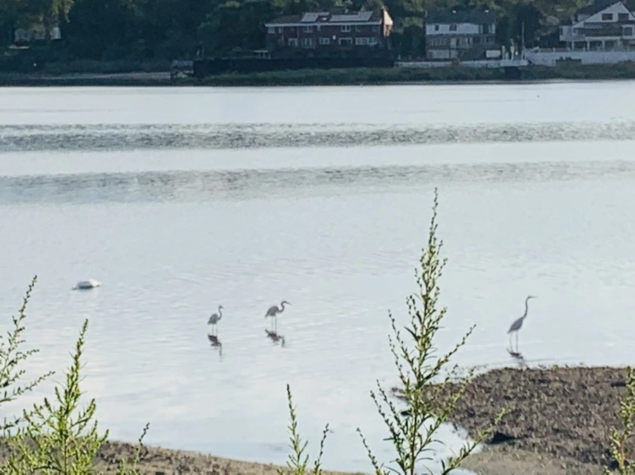 IMG_7799.jpg?type=w966