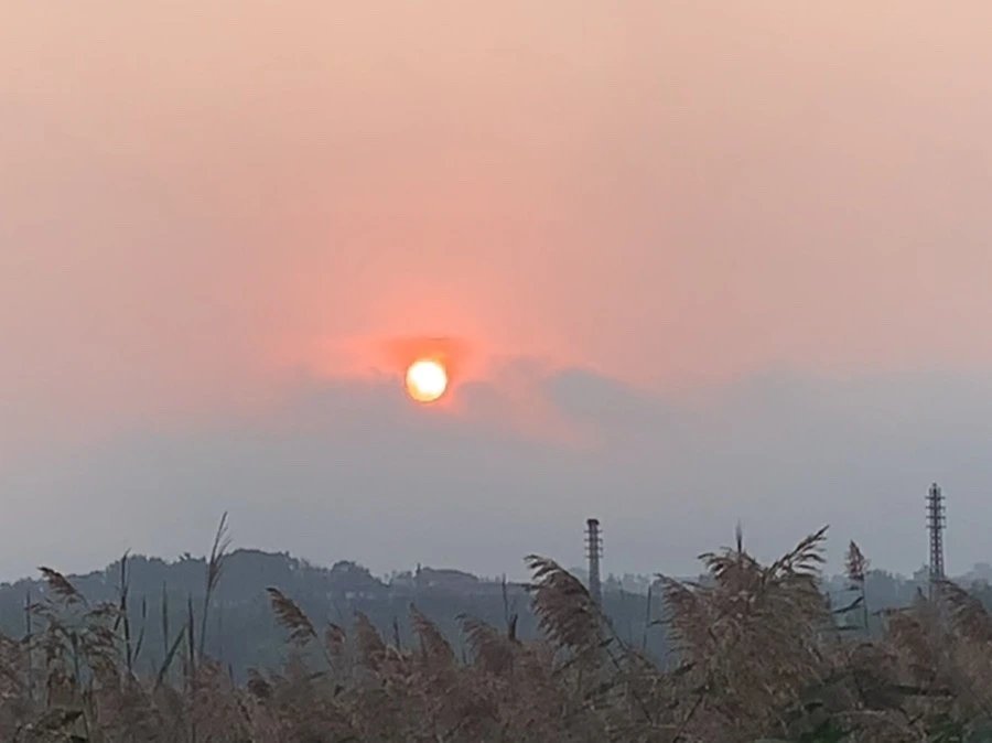 IMG_1120.jpg?type=w966