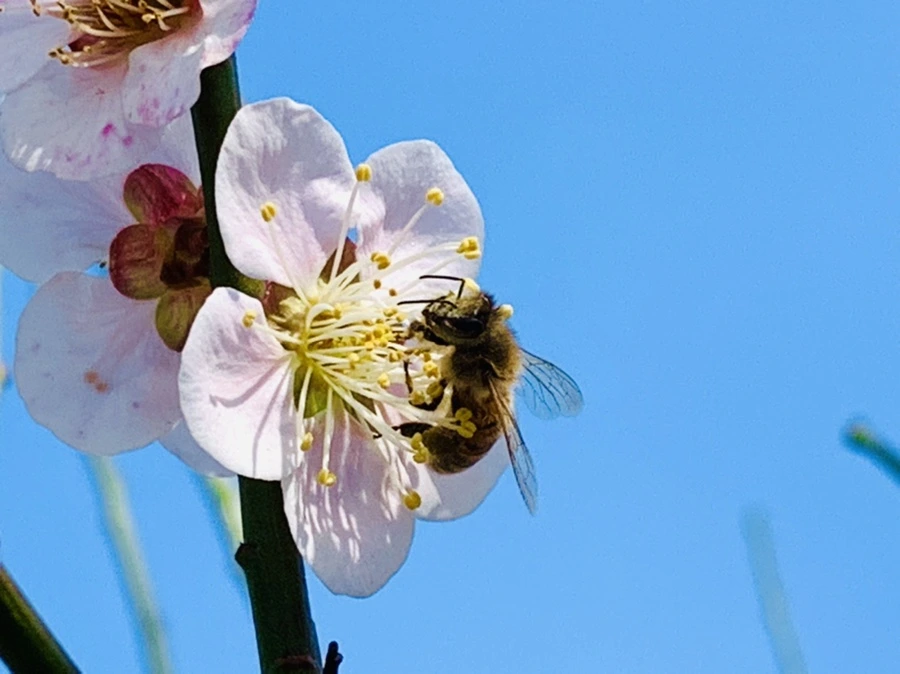 IMG_4198.jpg?type=w966