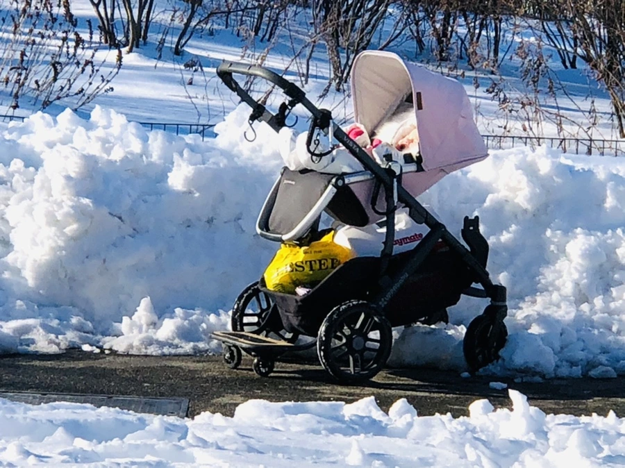 IMG_9801.jpg?type=w966