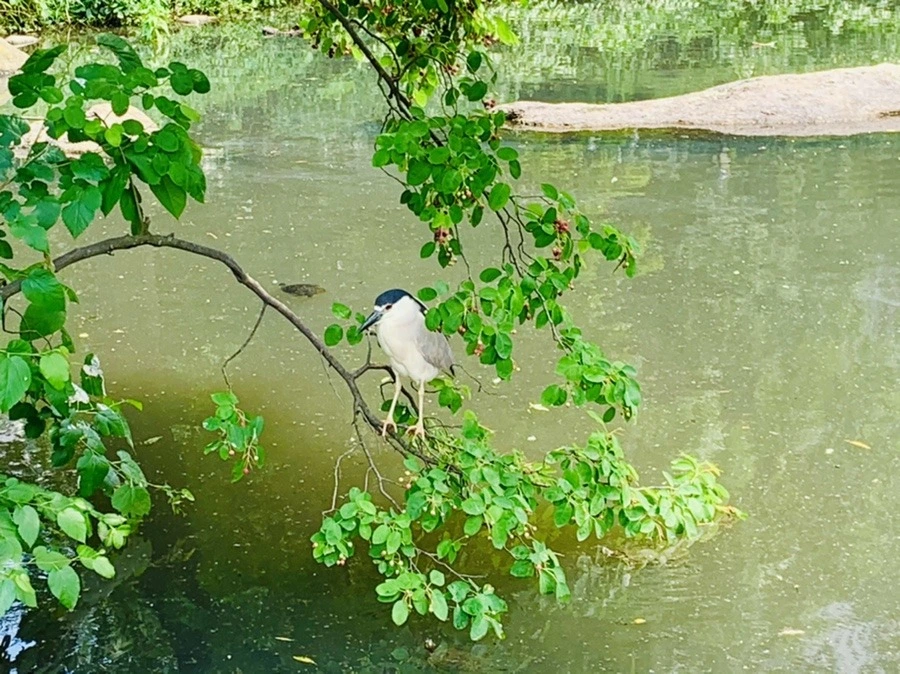 Ddn597M_L5E8GaVwM279JGjEEBk