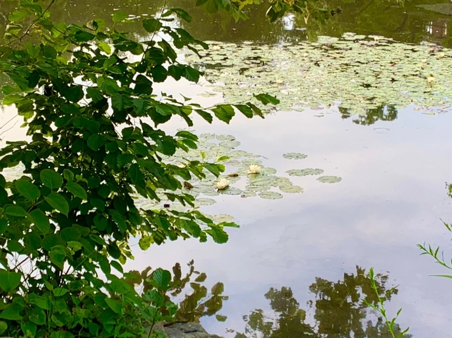 IMG_1841.jpg?type=w966