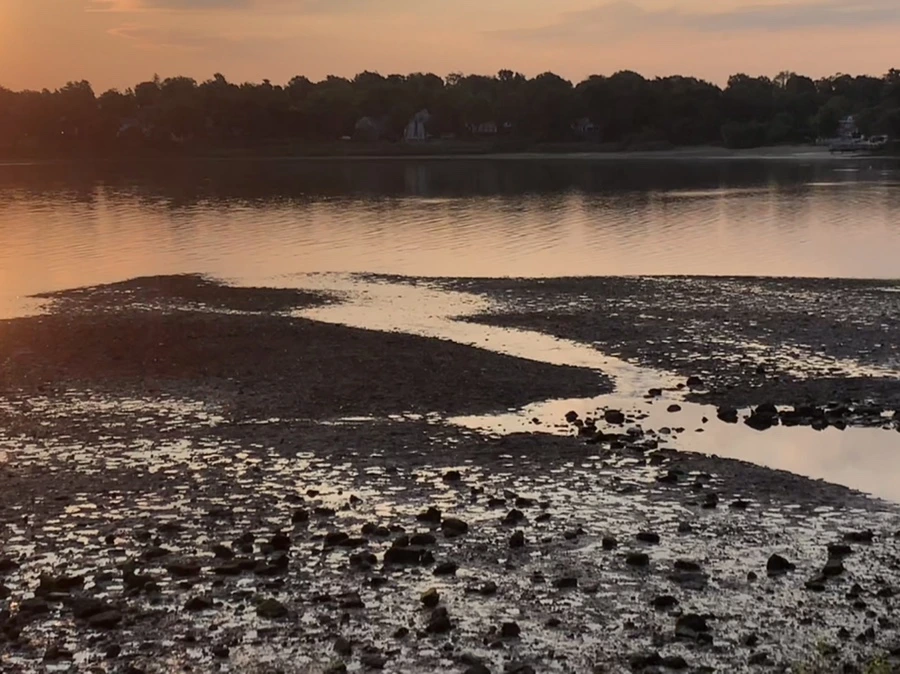 IMG_9567.jpg?type=w966