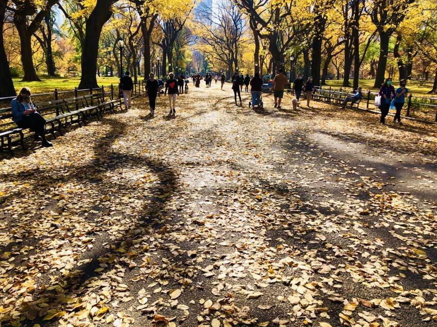 IMG_4317.jpg?type=w966