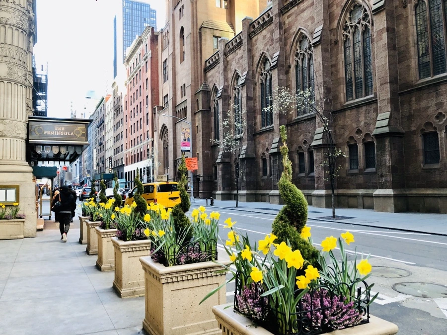 IMG_6376.jpg?type=w966