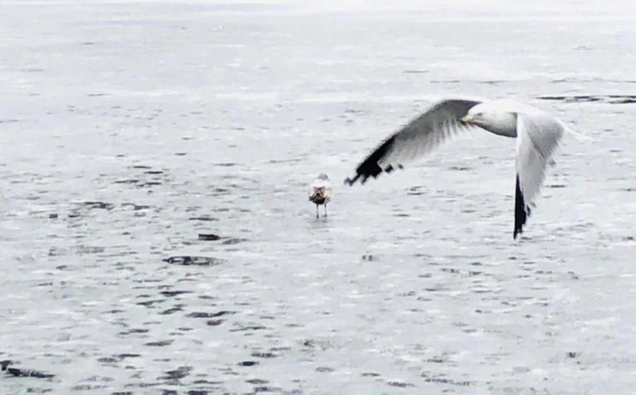 IMG_5606.jpg?type=w966