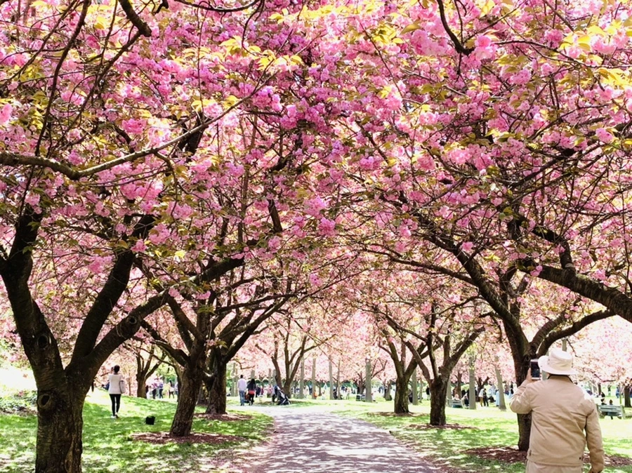 IMG_6424.jpg?type=w966