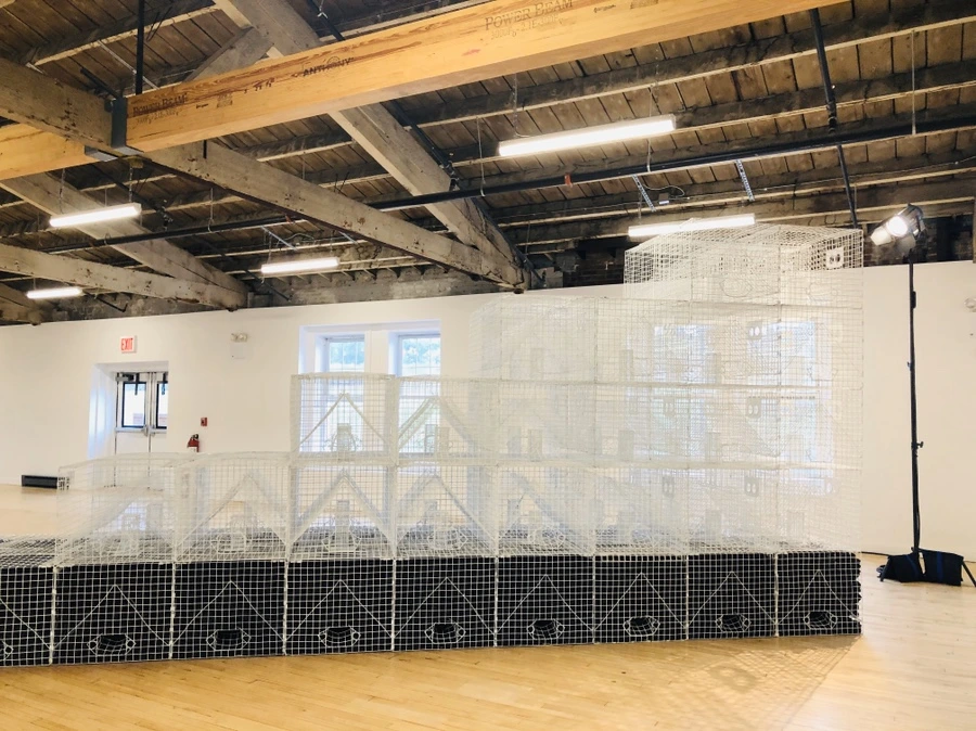 IMG_1012.jpg?type=w966