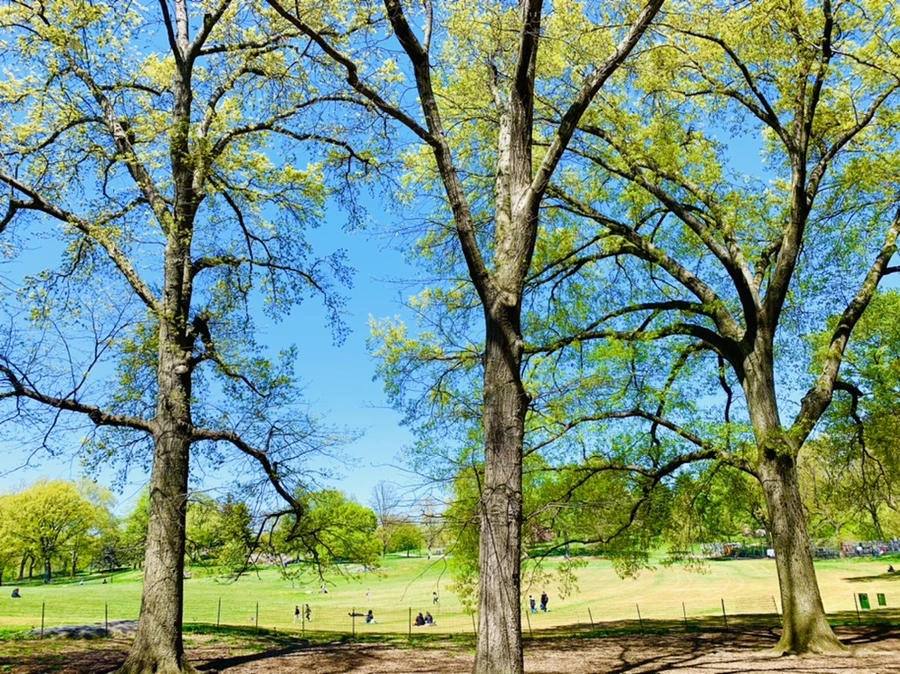 IMG_5700.jpg?type=w966